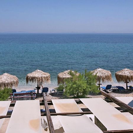 9 Musses Rooms-Studios Skala Mistegnon Номер фото